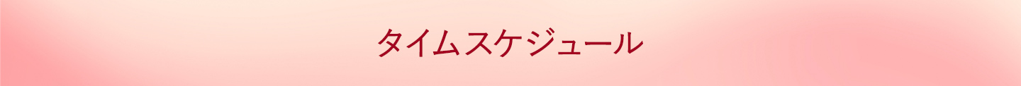 タイムスケジュール