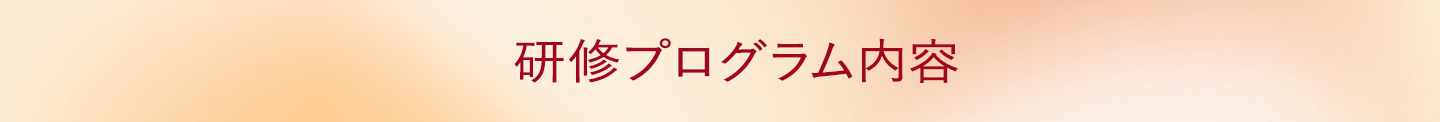 研修プログラム内容